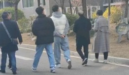 各种网红吃瓜事件,揭秘娱乐圈背后的真相与争议